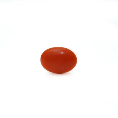 Red Coral ( Munga )