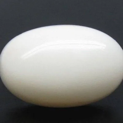 White Coral